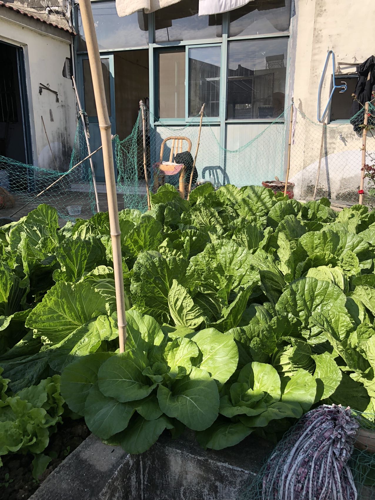 江宁区谷里街道公塘社区公塘头28号 随时看房·