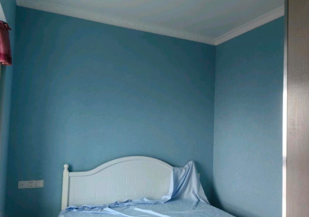 广田巴国绿云 随时看房·