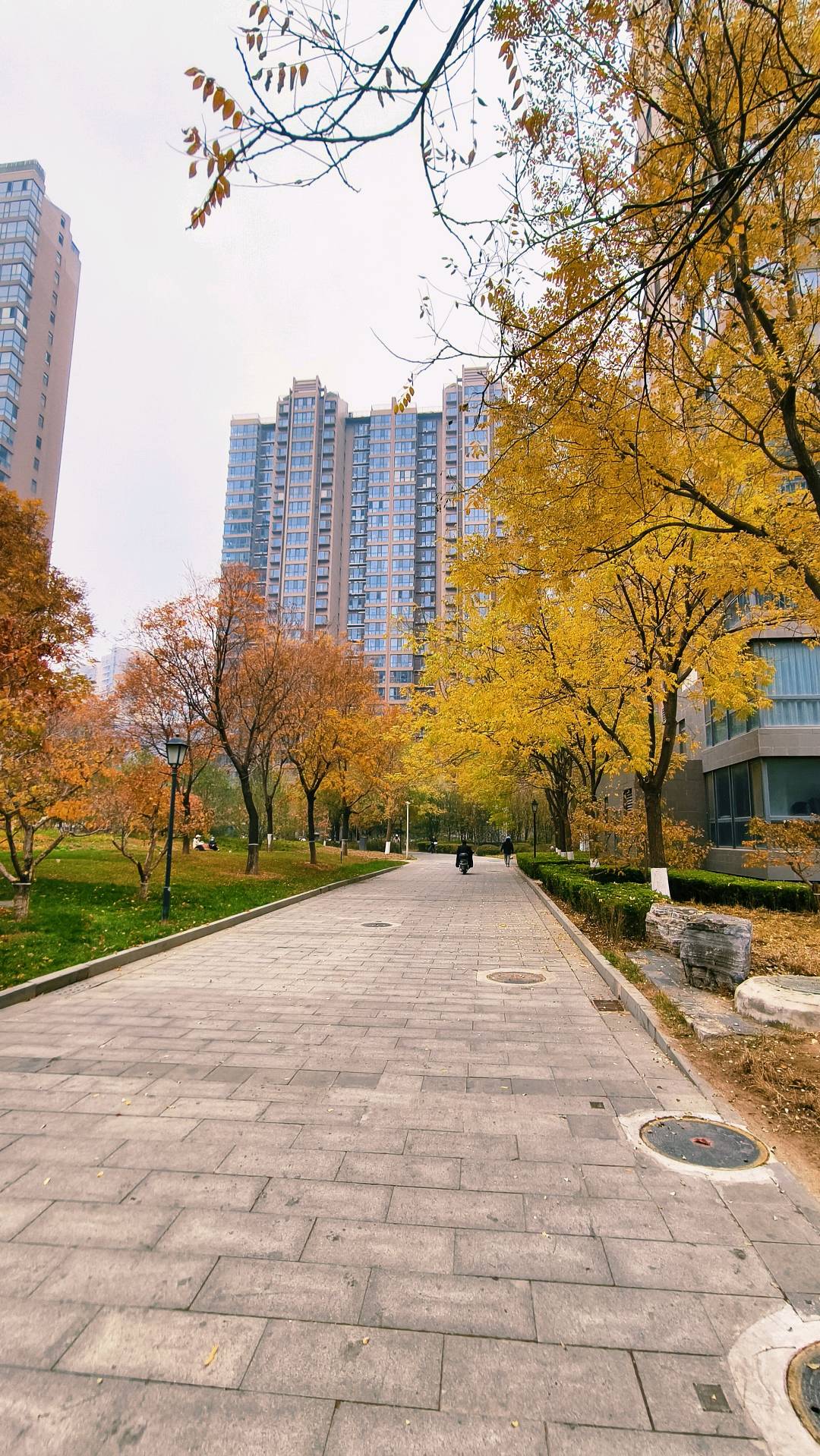 蓝天嘉园 随时看房·