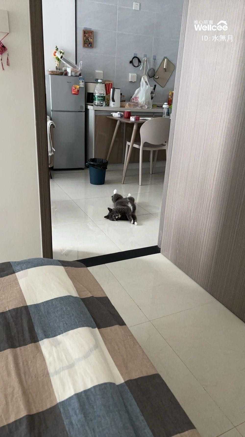 华发智谷圆芯广场 随时看房·