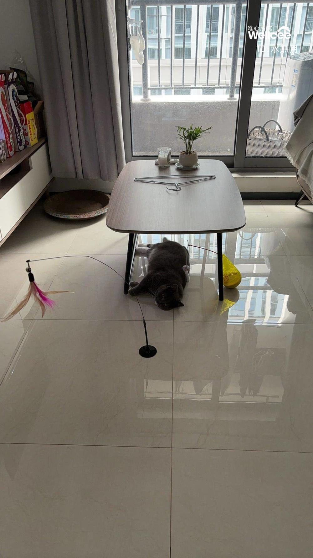 华发智谷圆芯广场 随时看房·