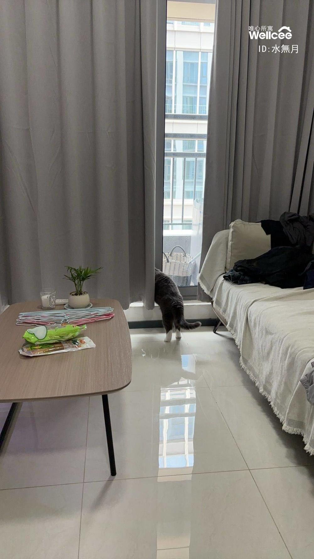 华发智谷圆芯广场）