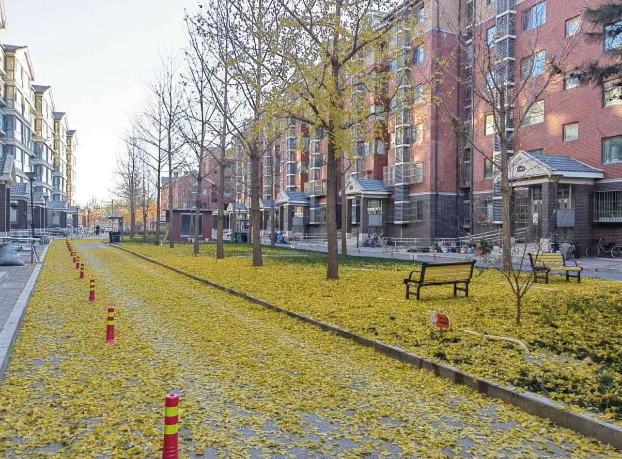 丰泽盈和 随时看房·