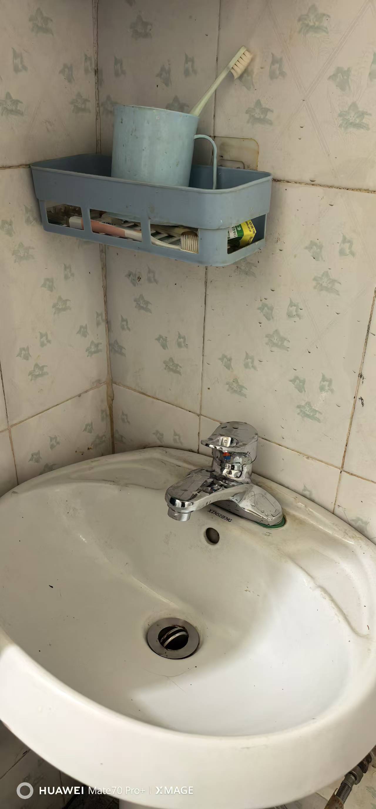 鑫华庭园 随时看房·