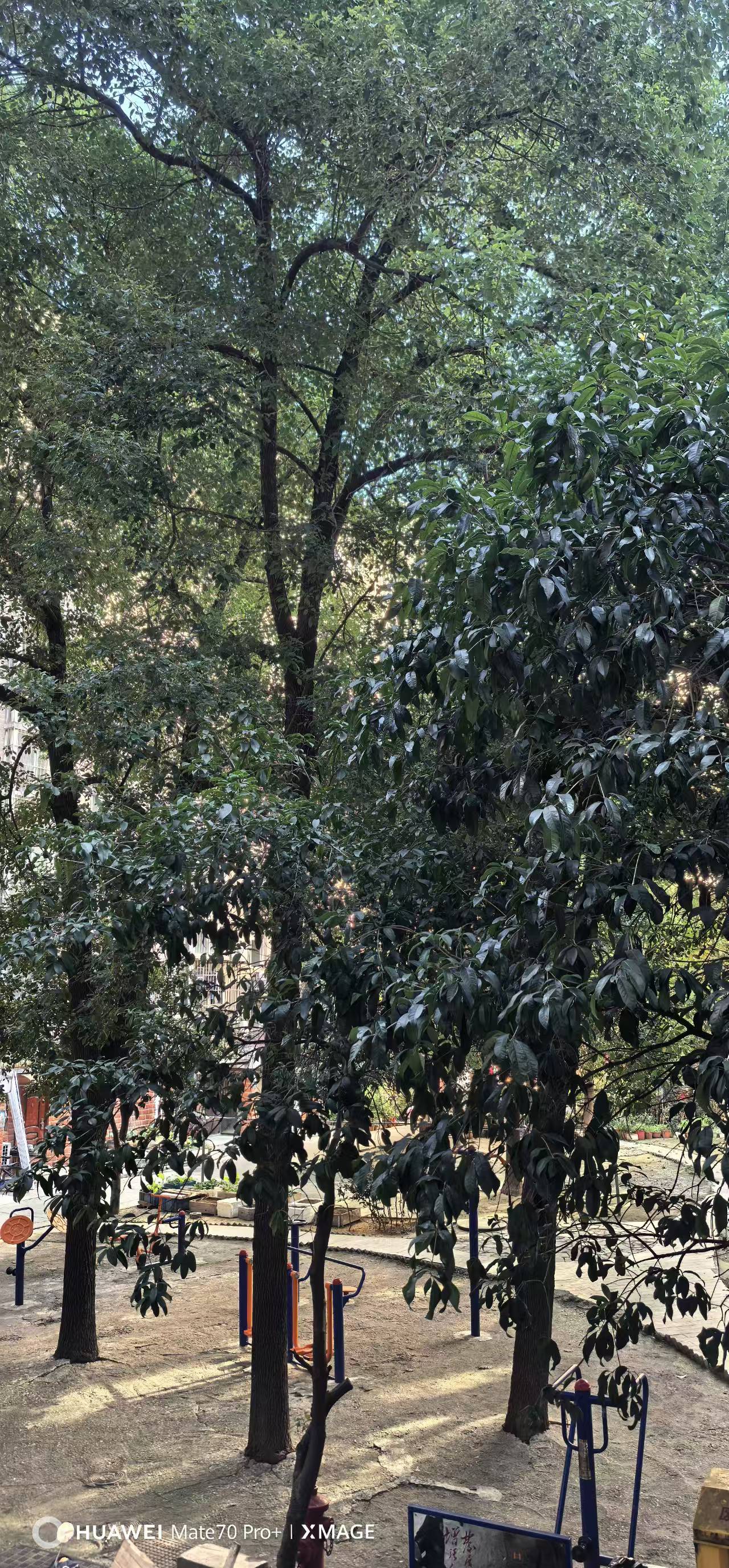 鑫华庭园 随时看房·