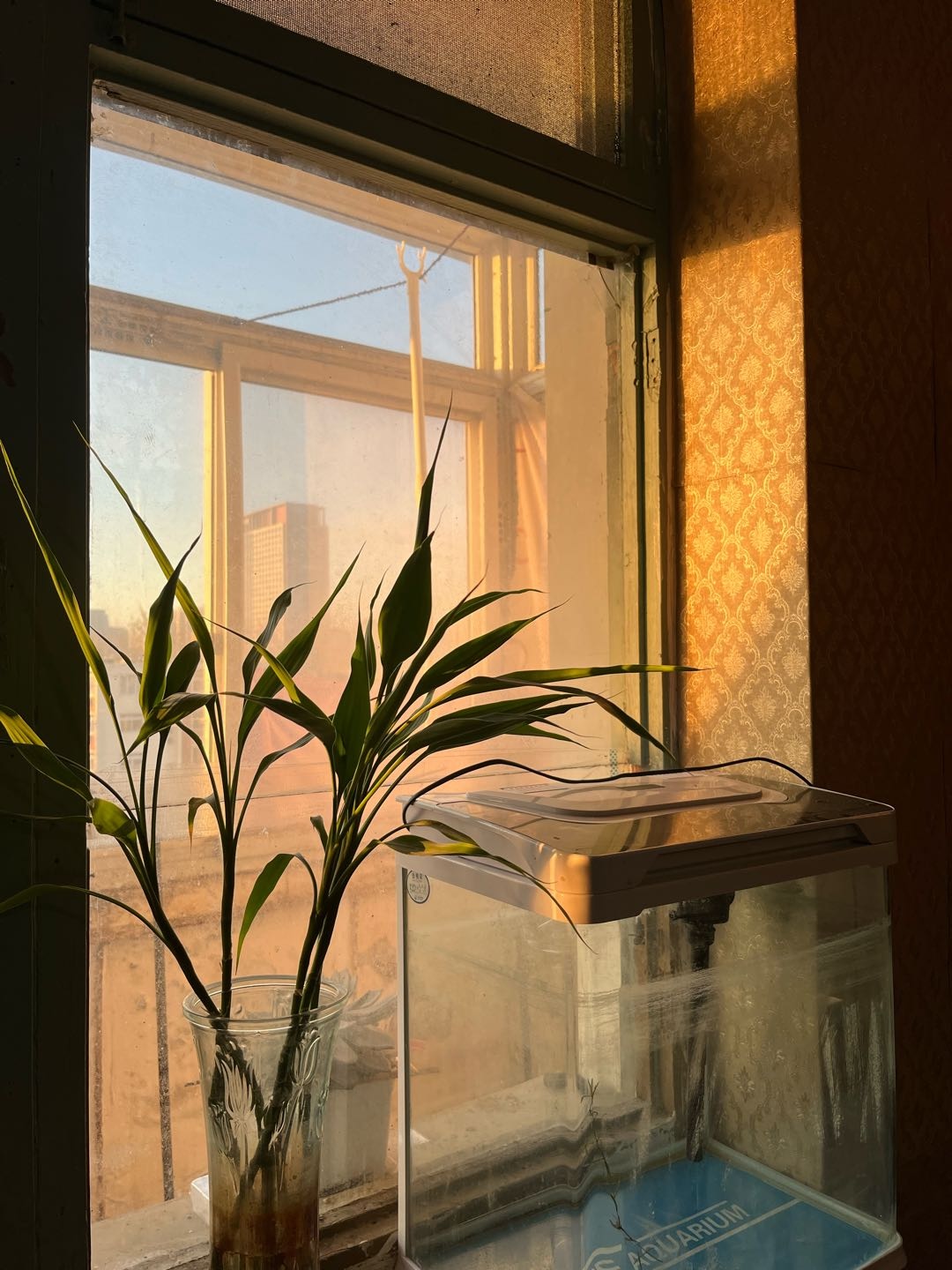 苏堤东里 随时看房·