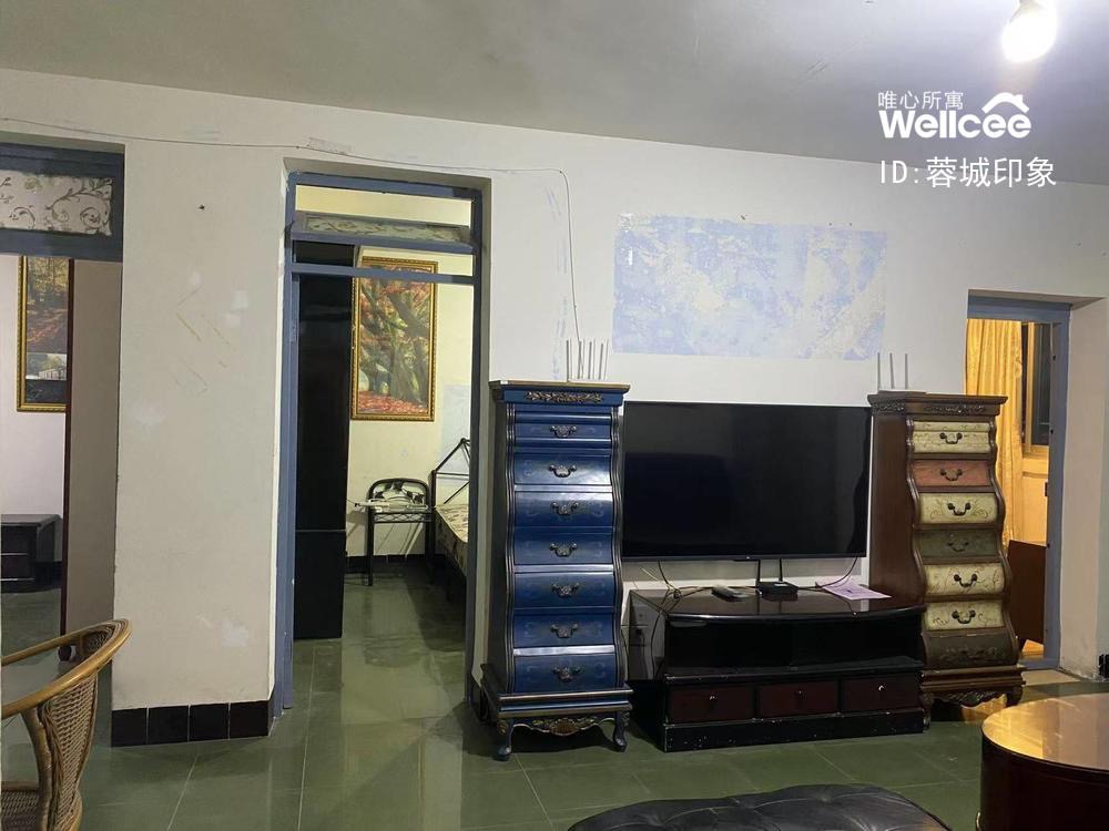 成都东光小区 随时看房·