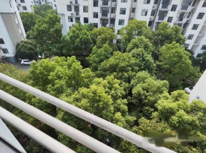 水墨江南 随时看房·