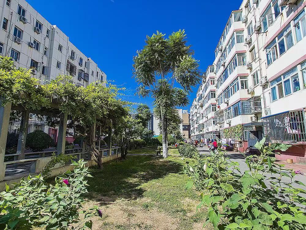 农垦学院家属楼 随时看房·