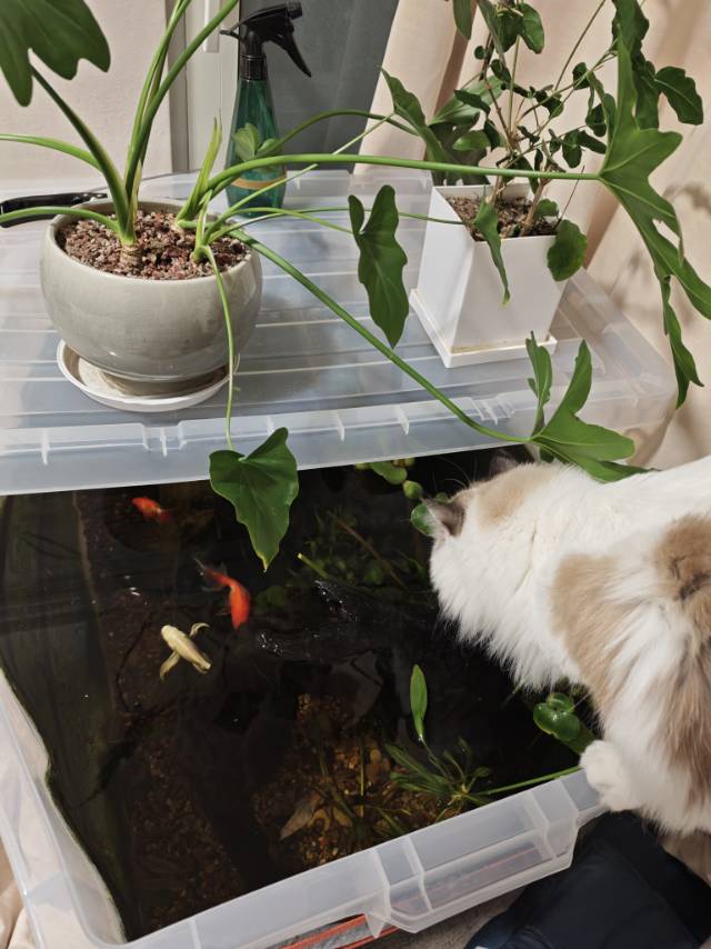 德信空港城 随时看房·