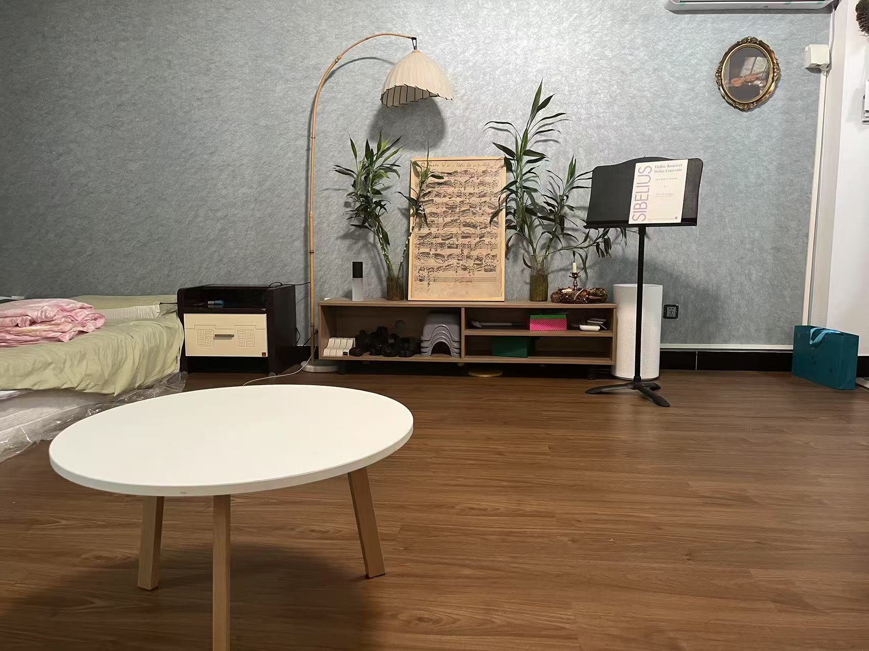 西豪逸景 1居室 5600元/月