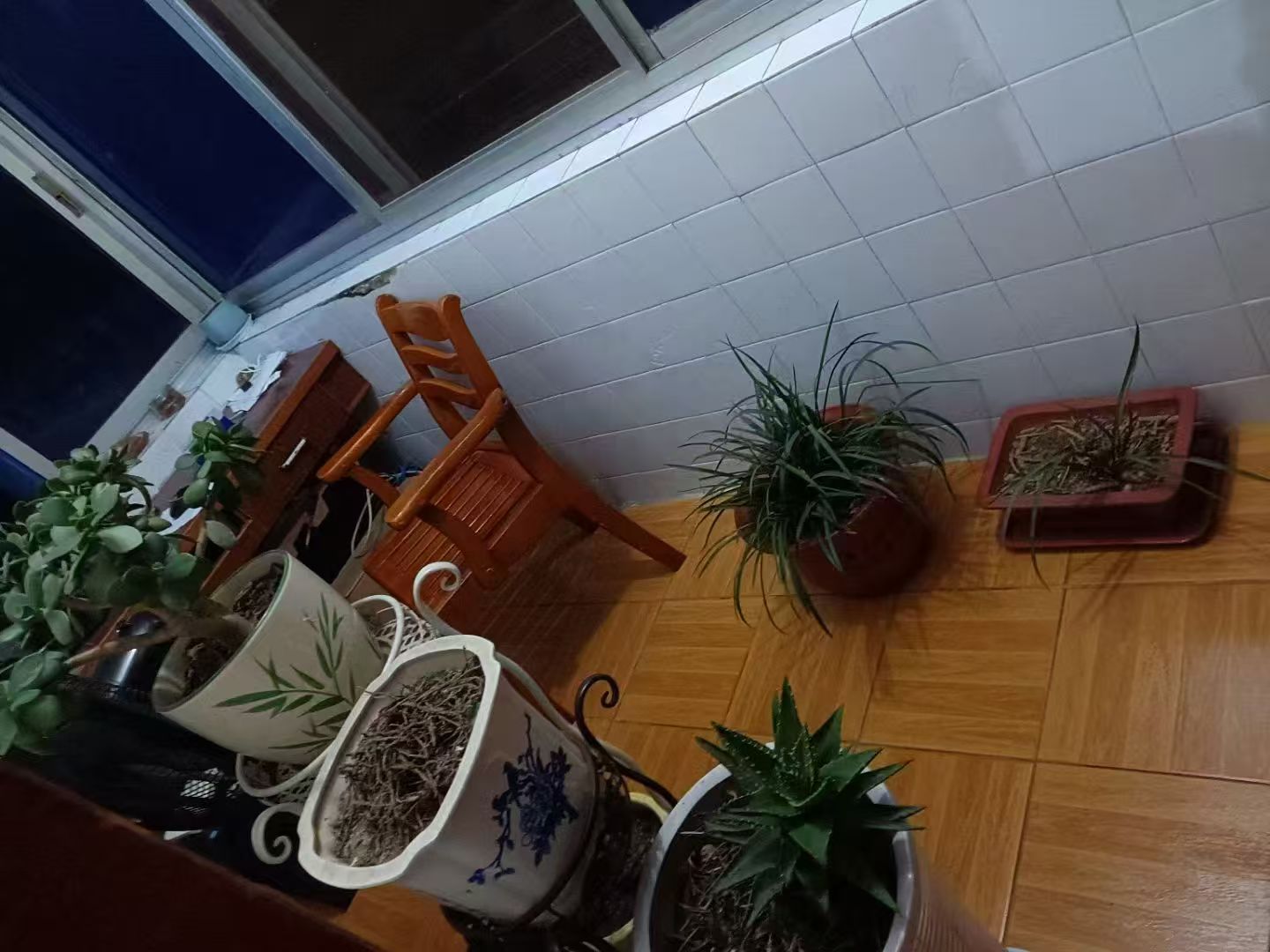 鑫鑫小区 随时看房·