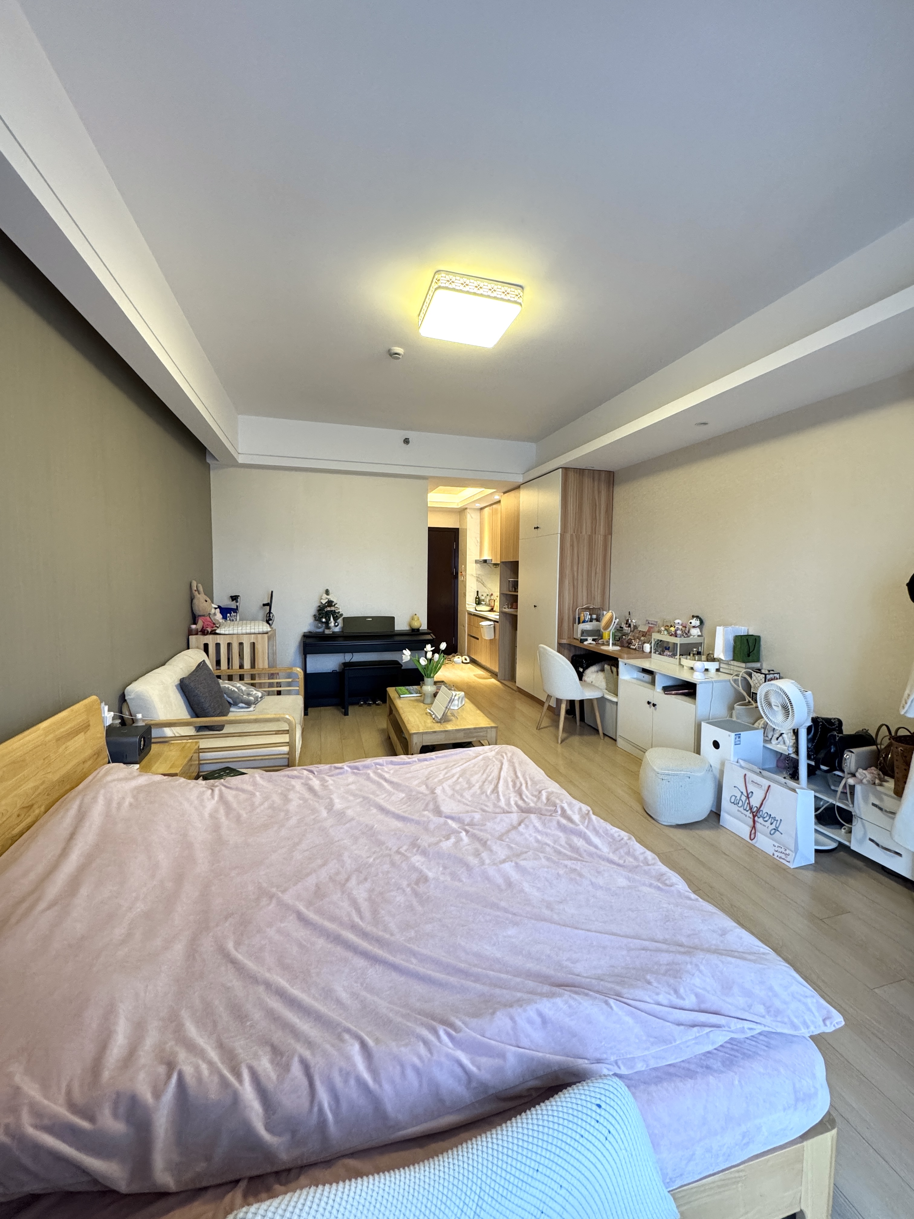 理想银泰城B座 1居室 2600元/月