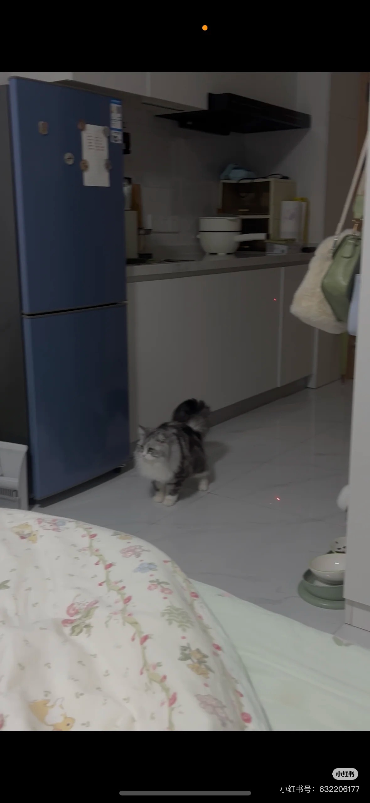 长桥园公寓 随时看房·