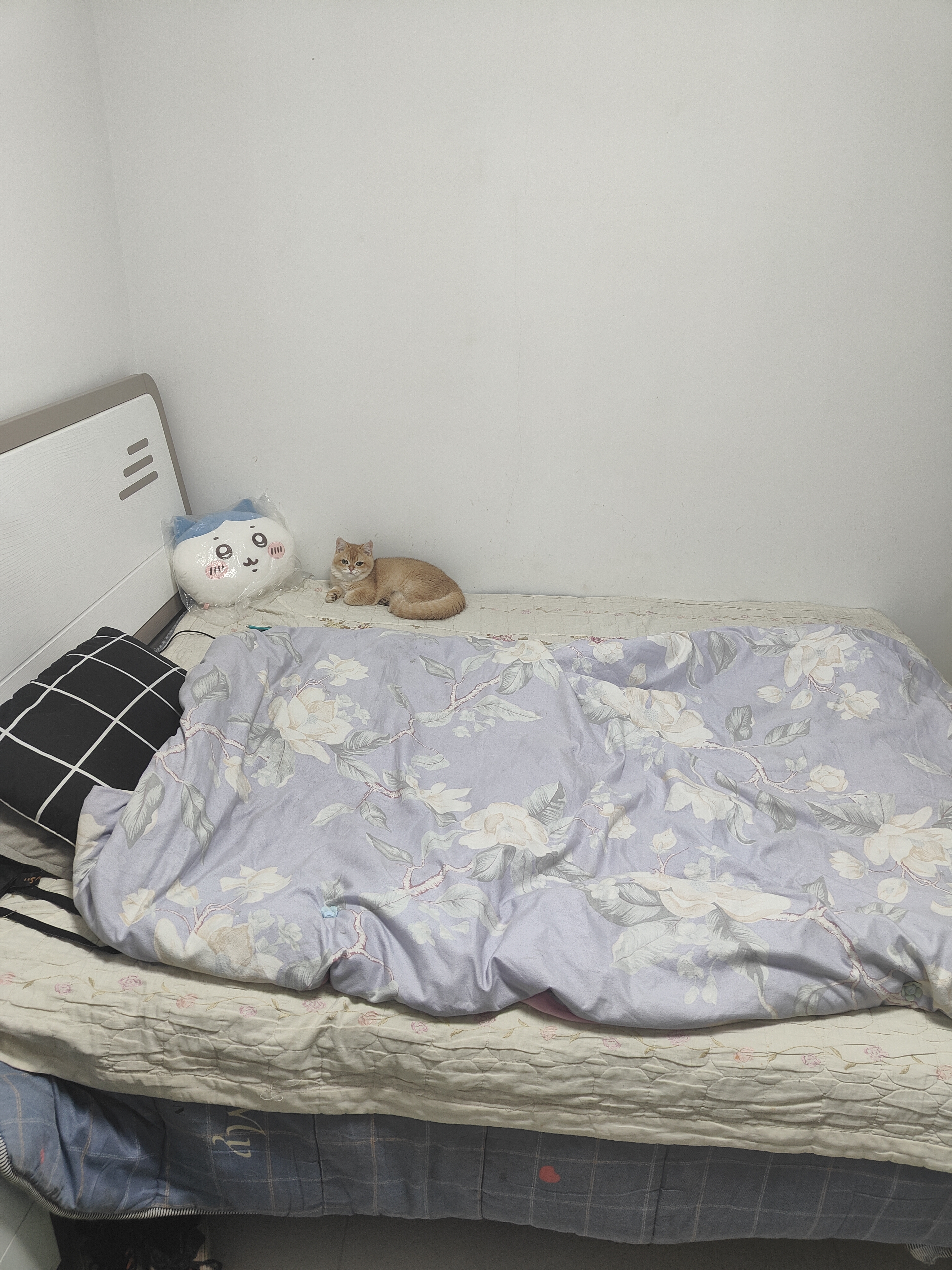 韵栖华庭）