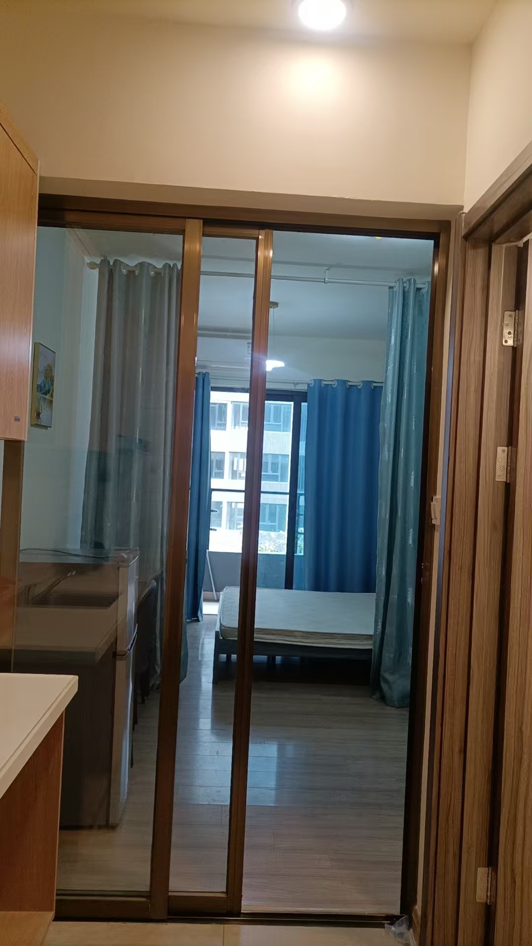 碧桂园世纪城 1居室 1300元/月