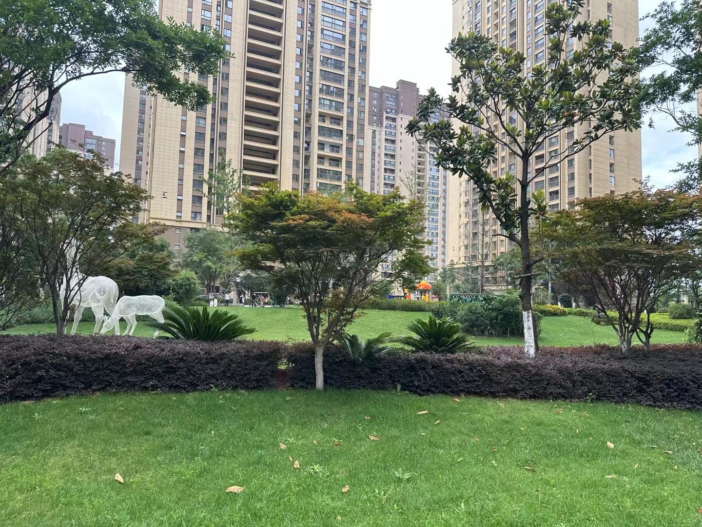 蓝光水岸公园 随时看房·