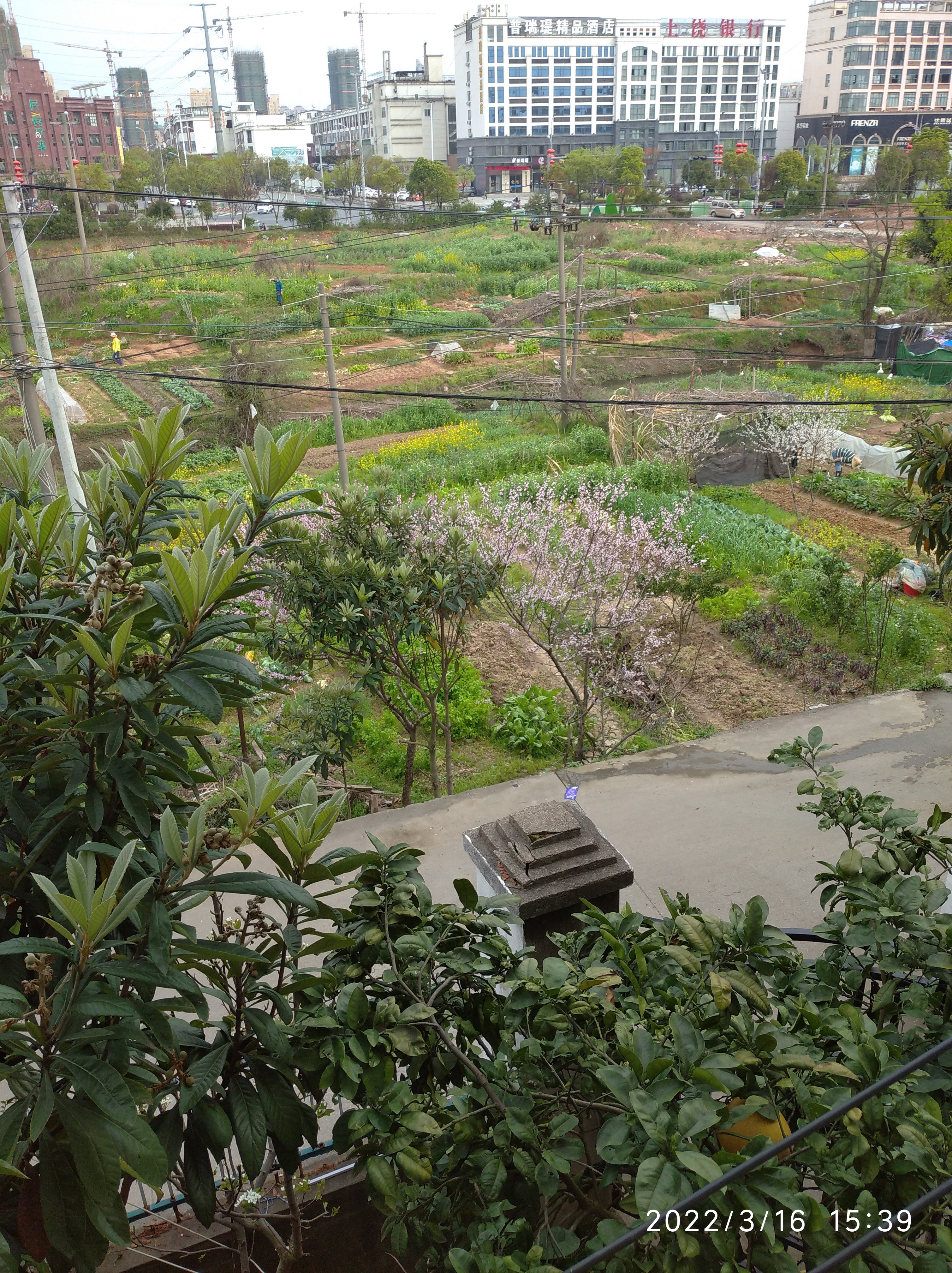 佳利商城对面 随时看房·