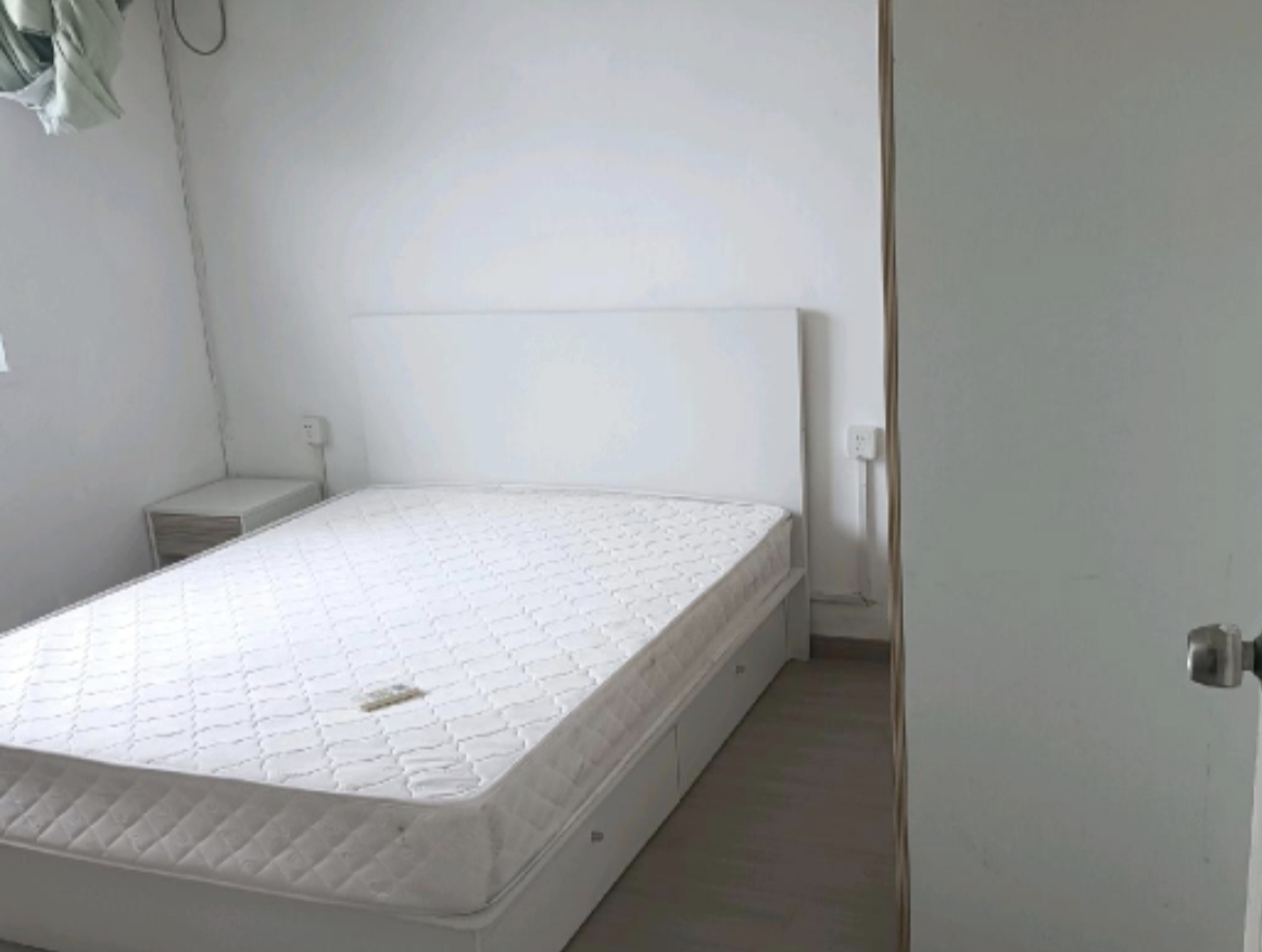 川沙南市街 随时看房·