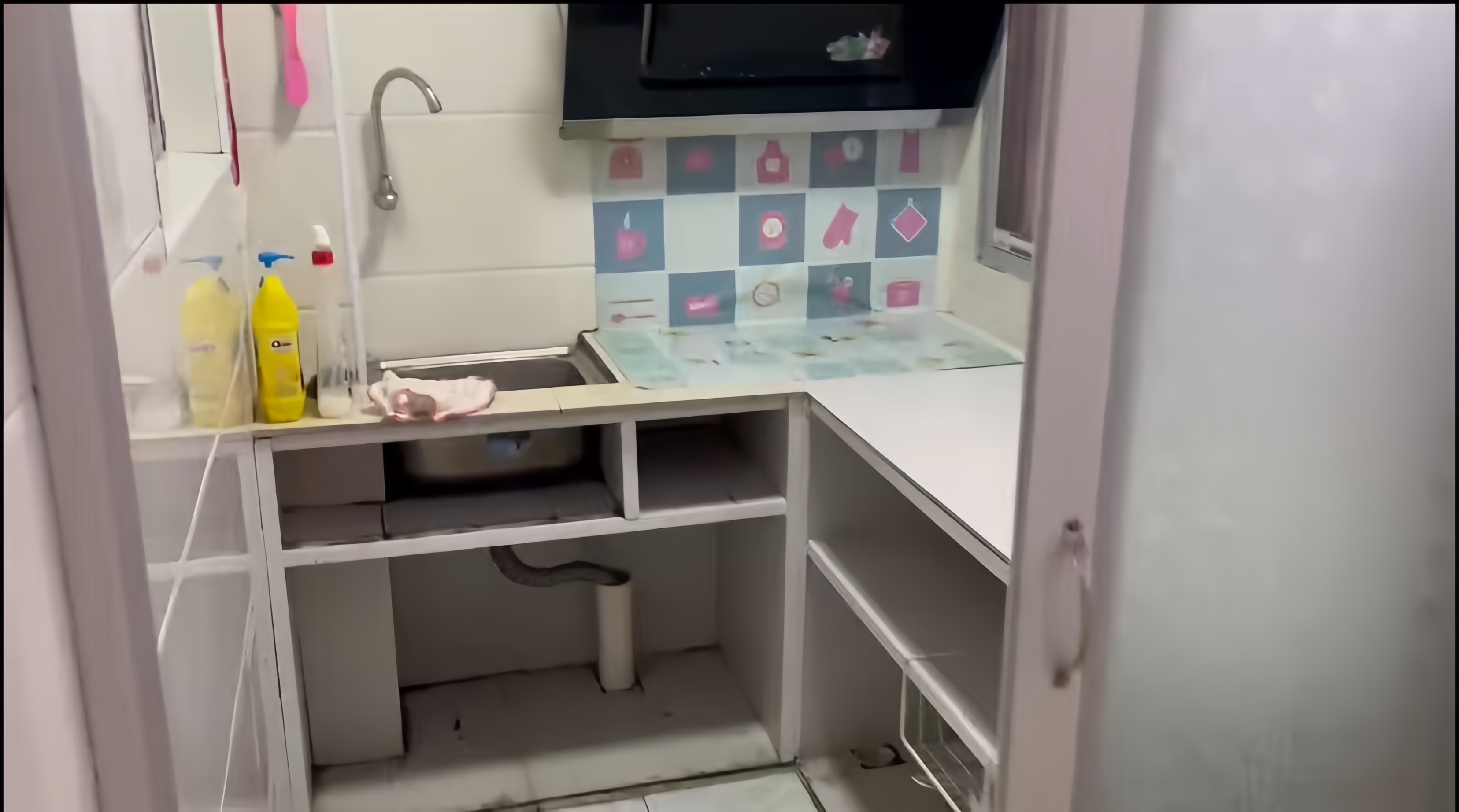 金星新村 随时看房·