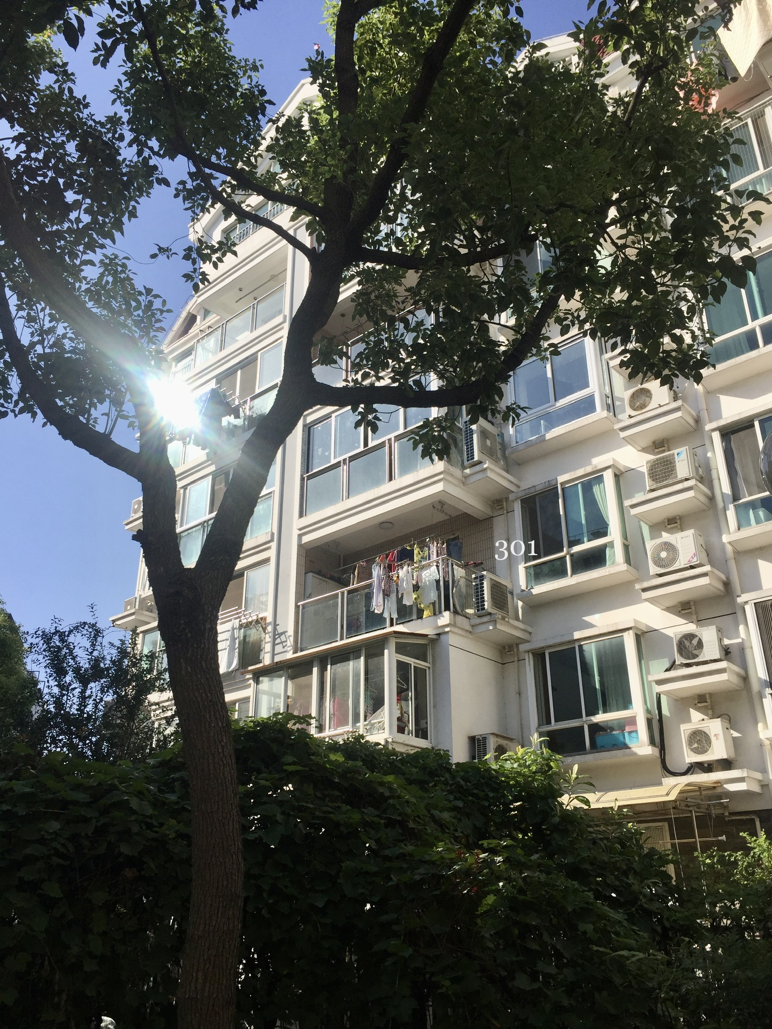 金桥路899弄黄山新苑 随时看房·