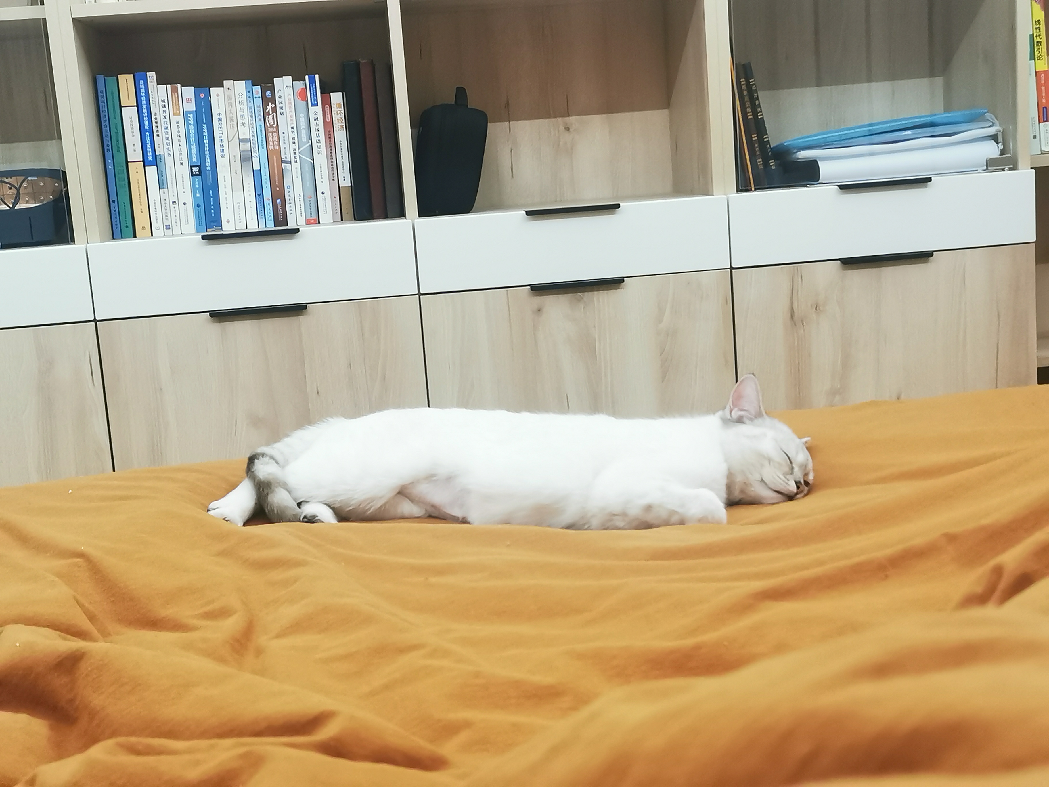 苹果园一区 随时看房·