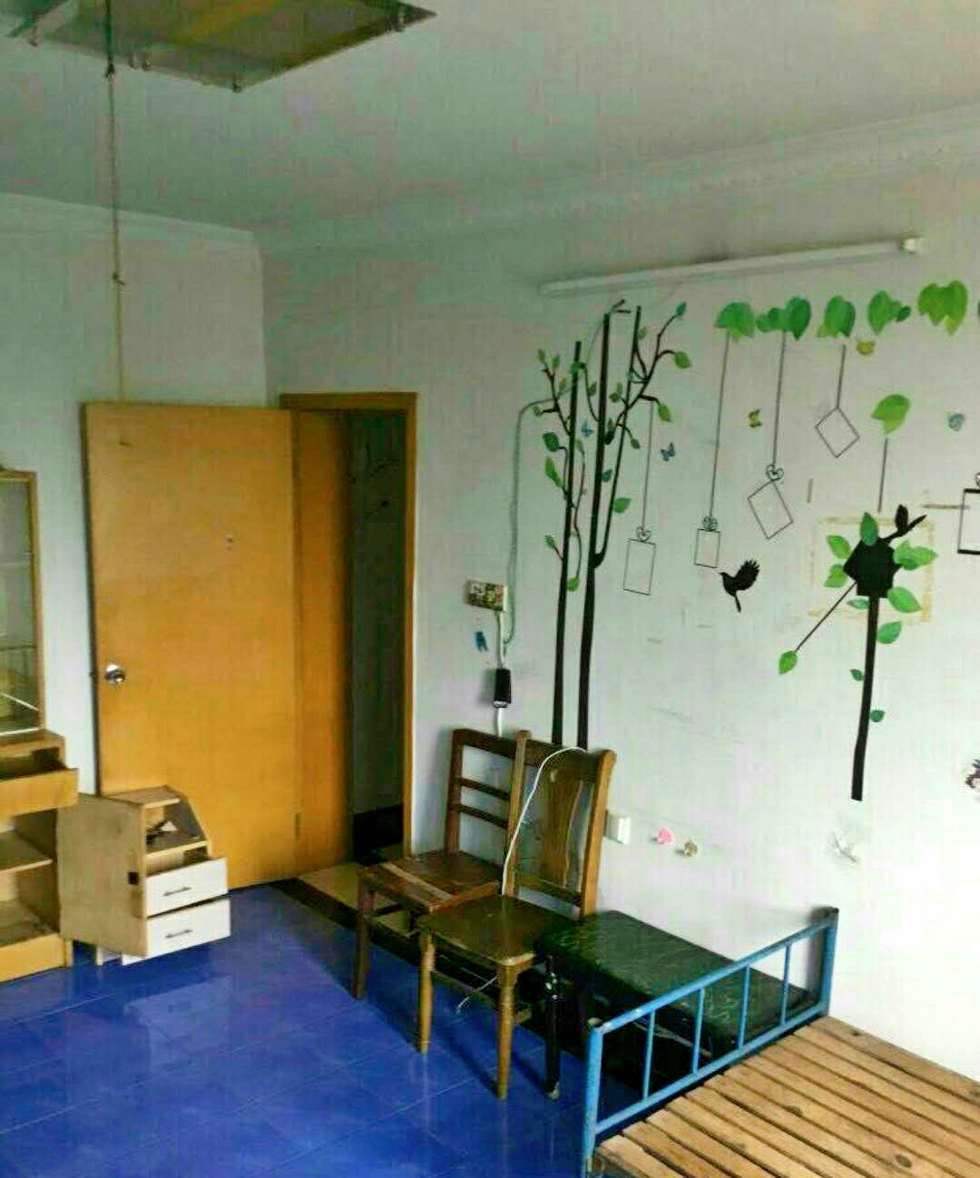 杨镇小区 随时看房·