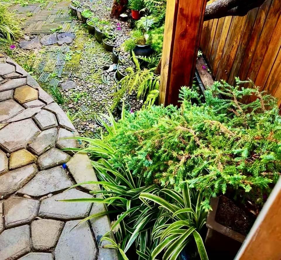 耀鹏天籁 随时看房·