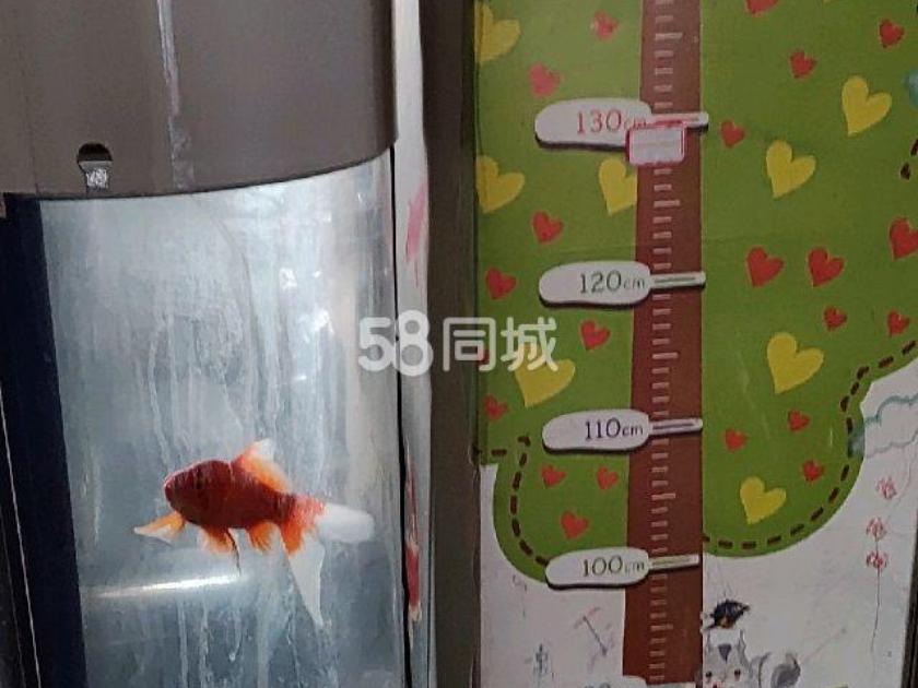 荣盛锦绣澜湾 8居室 3200元/月