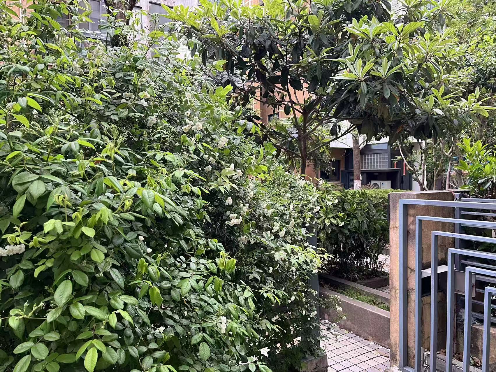 涵合园 随时看房·