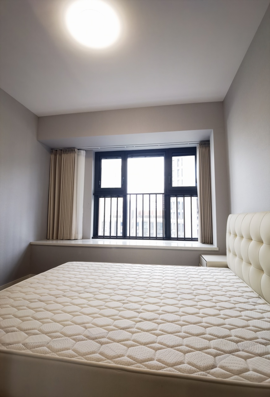 华发仁恒苏河世纪 随时看房·