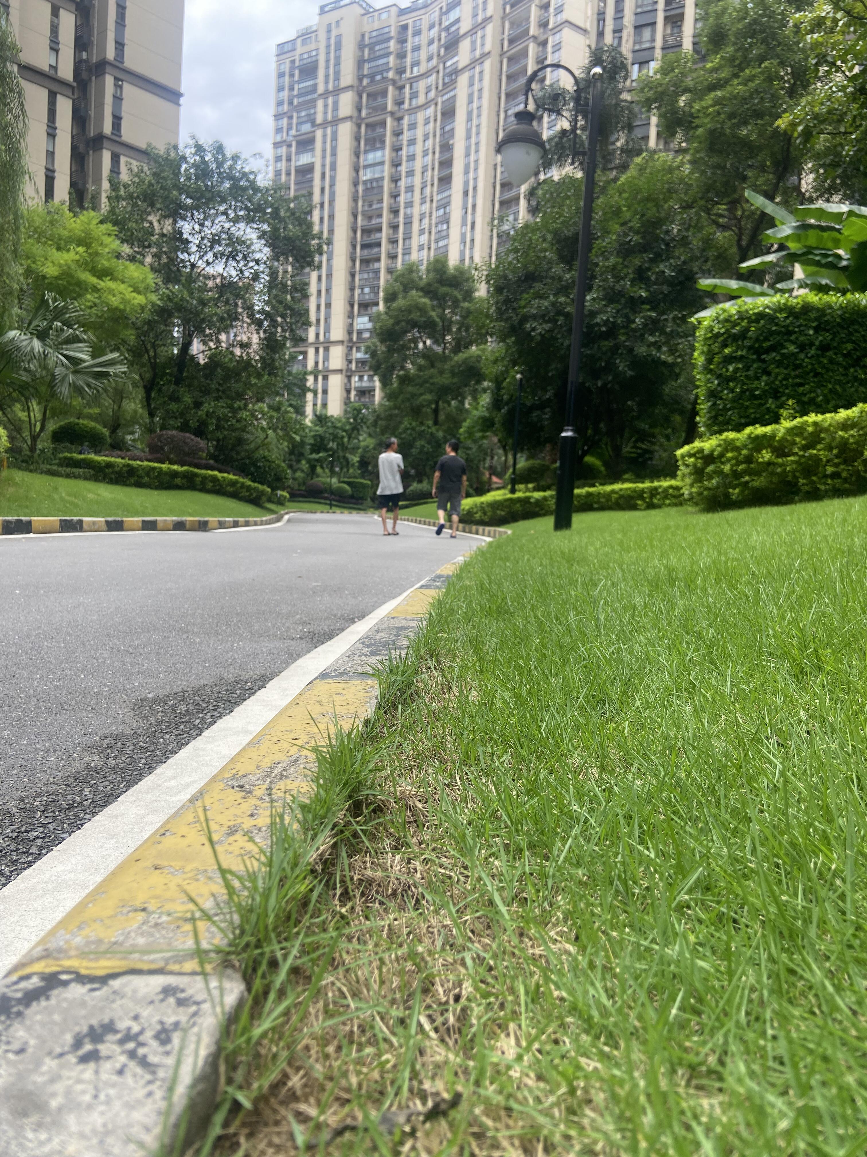 金湾华庭 随时看房·