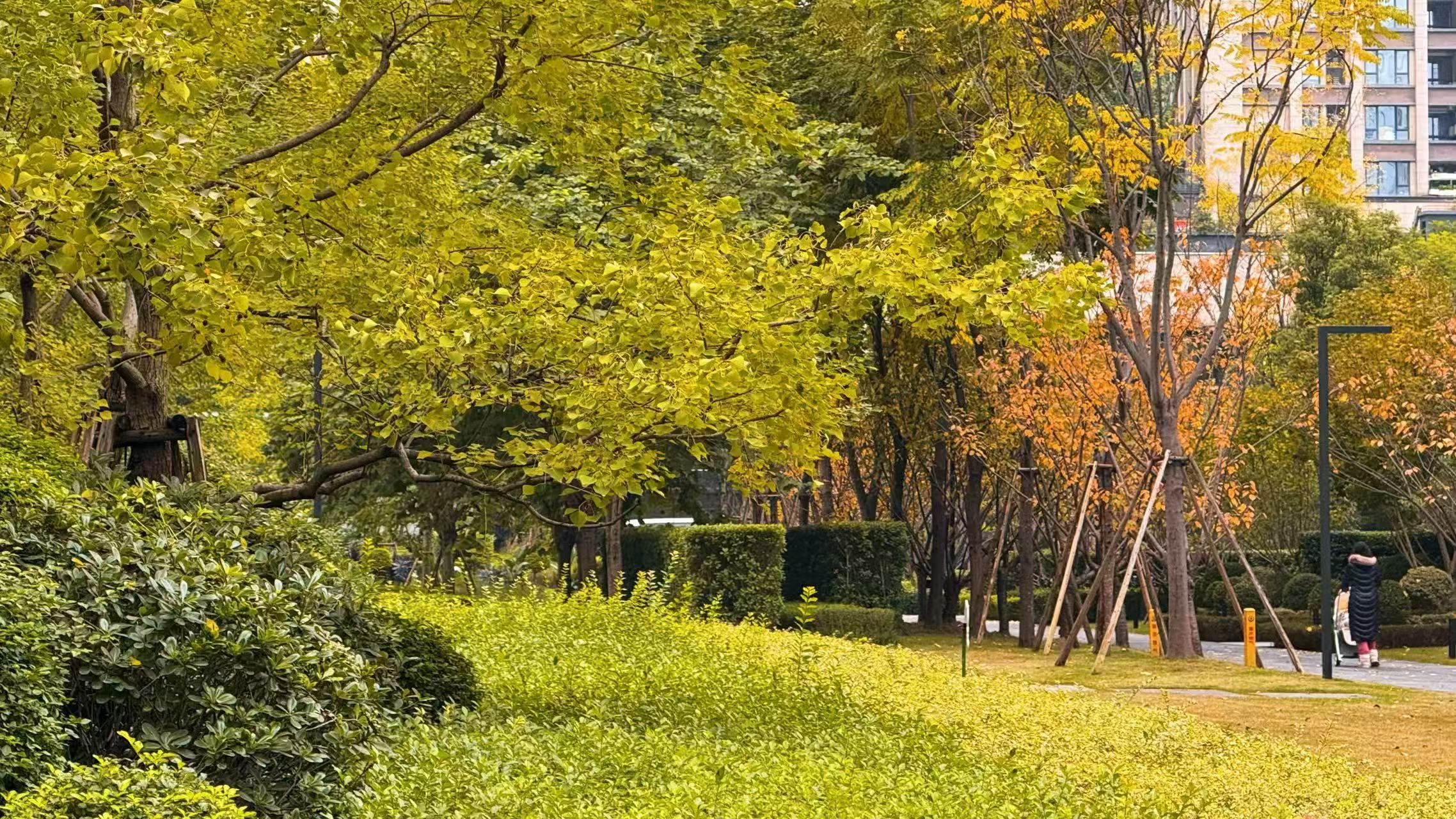 凯德九章 随时看房·