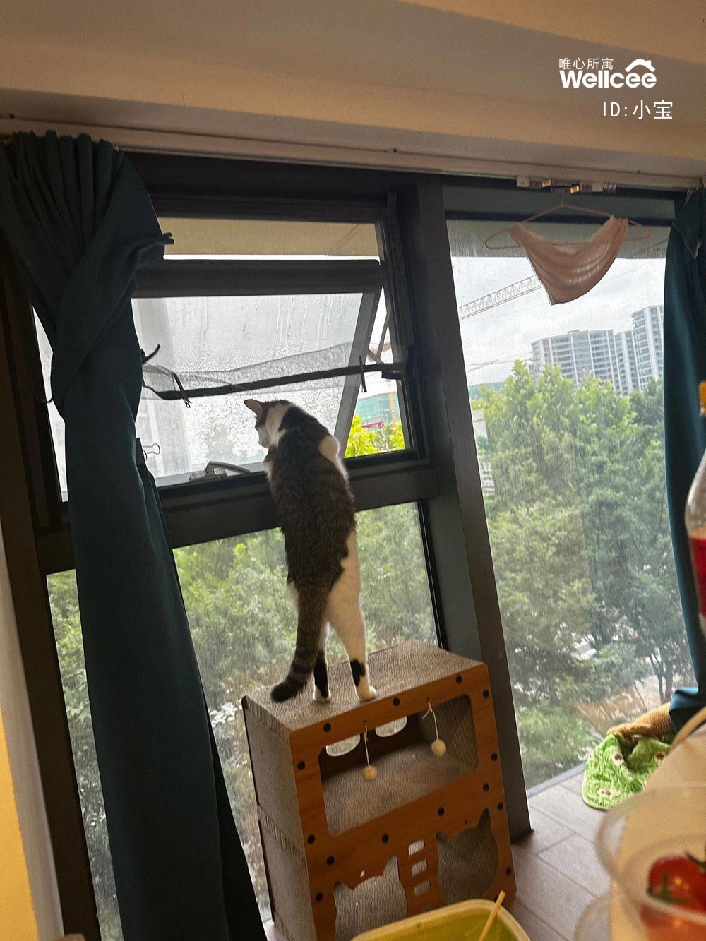 汇铂金座 随时看房·