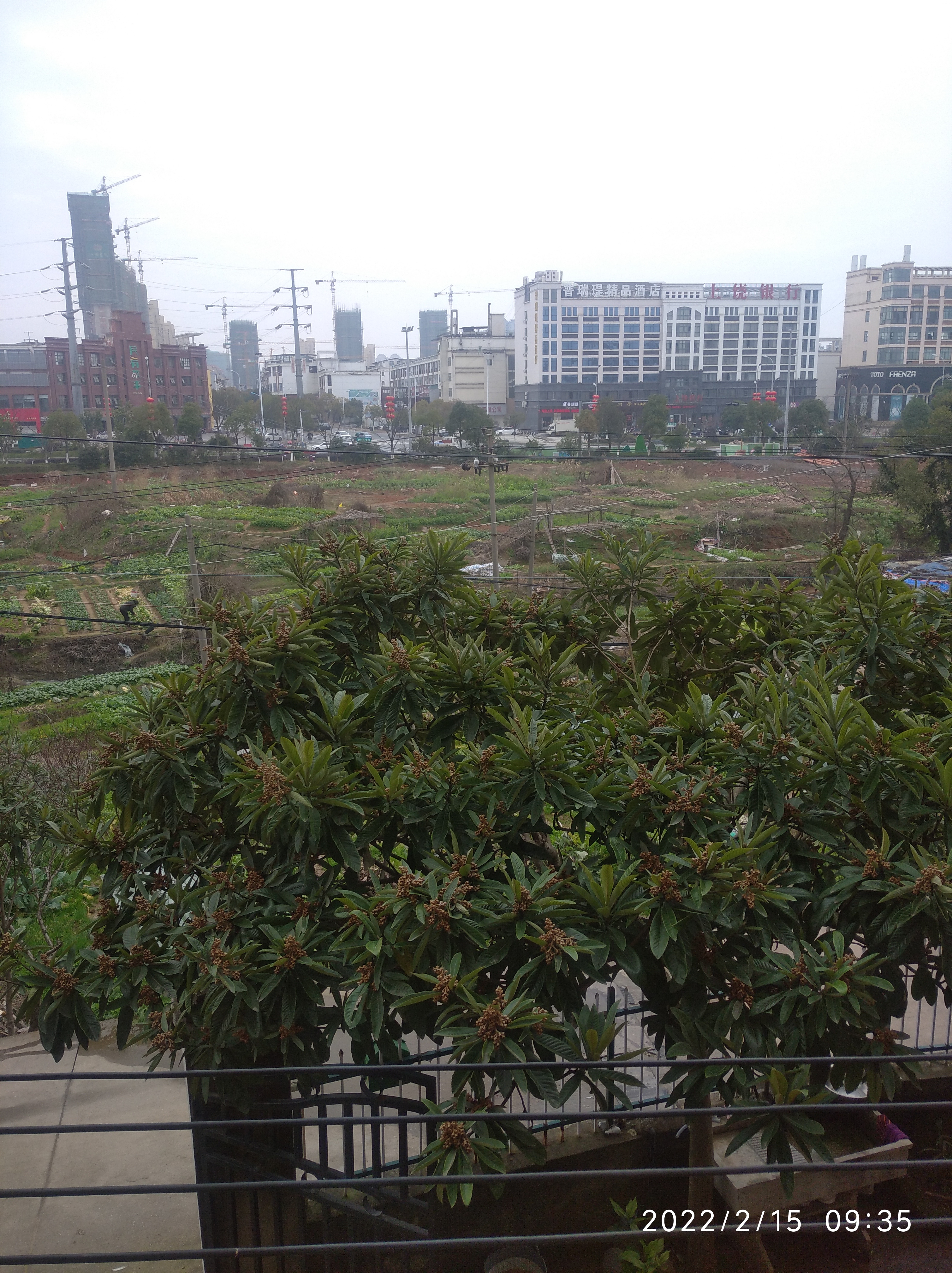 王家坝小区）
