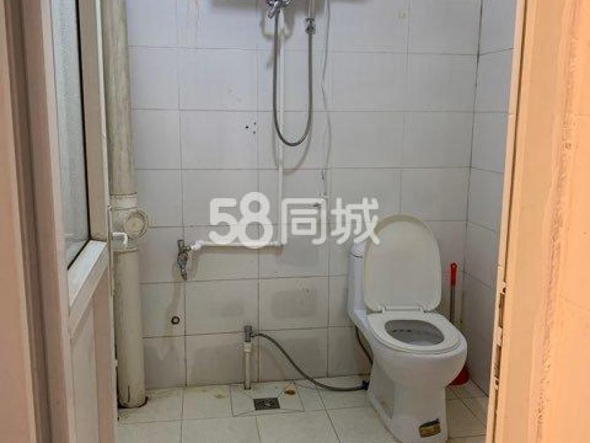 张庄新居）