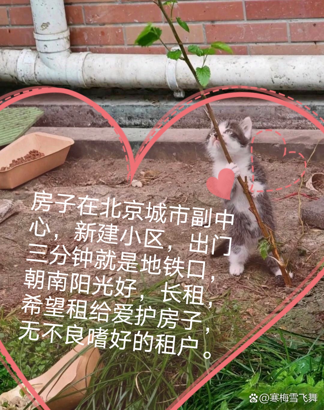 紫运南里一区 随时看房·