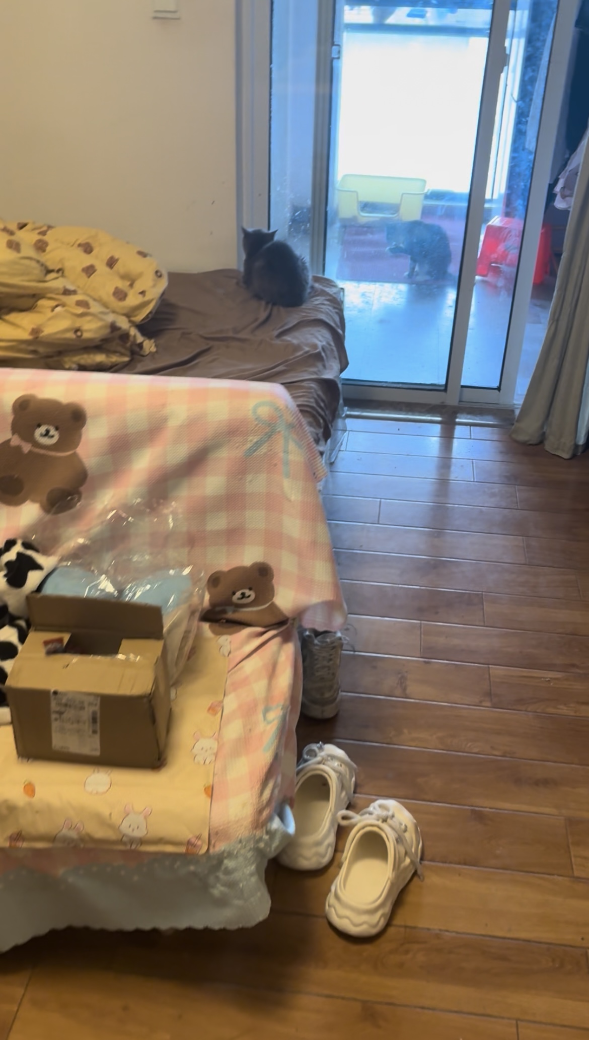 金鹏两江时光）