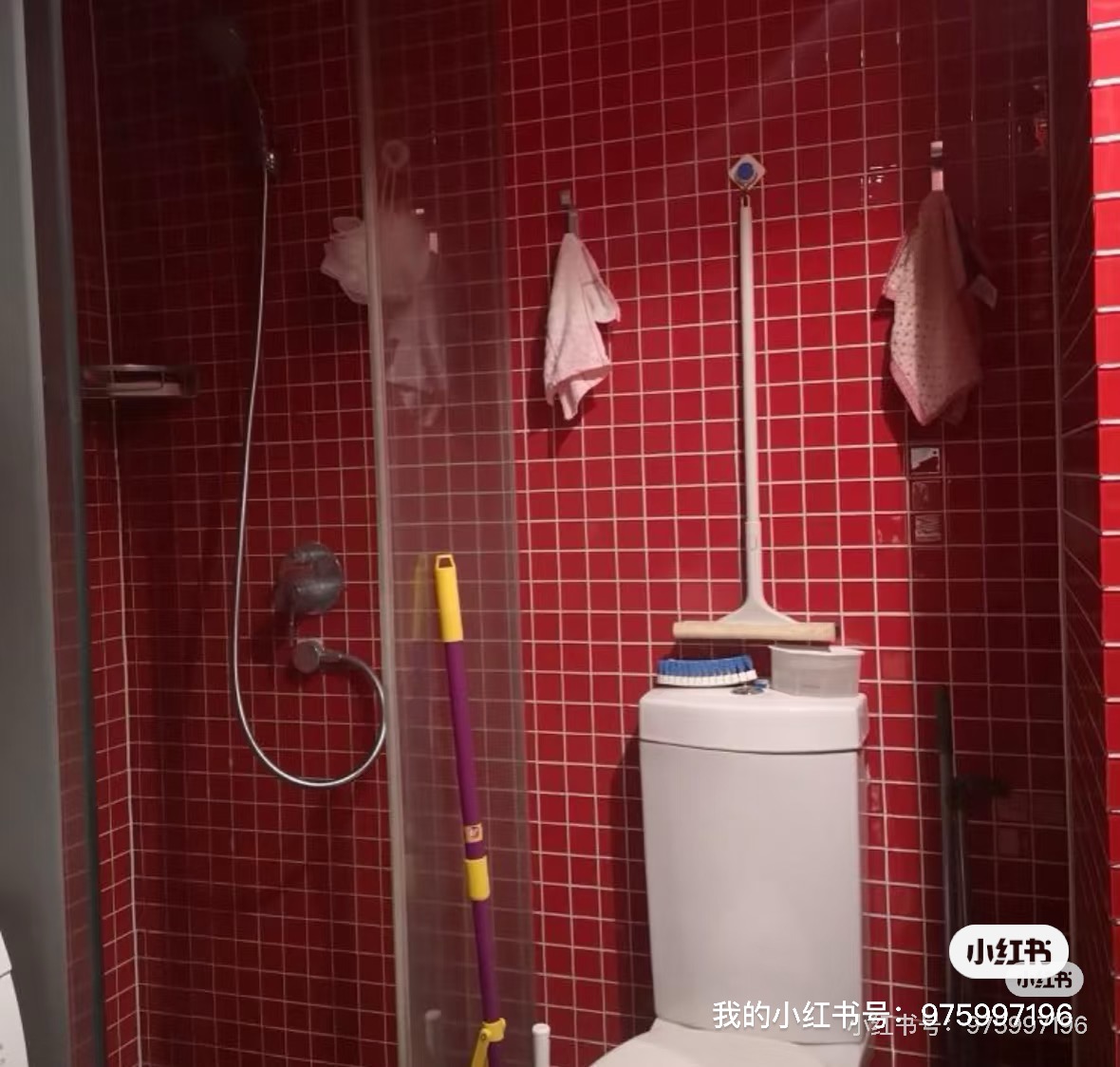 木马公寓 随时看房·