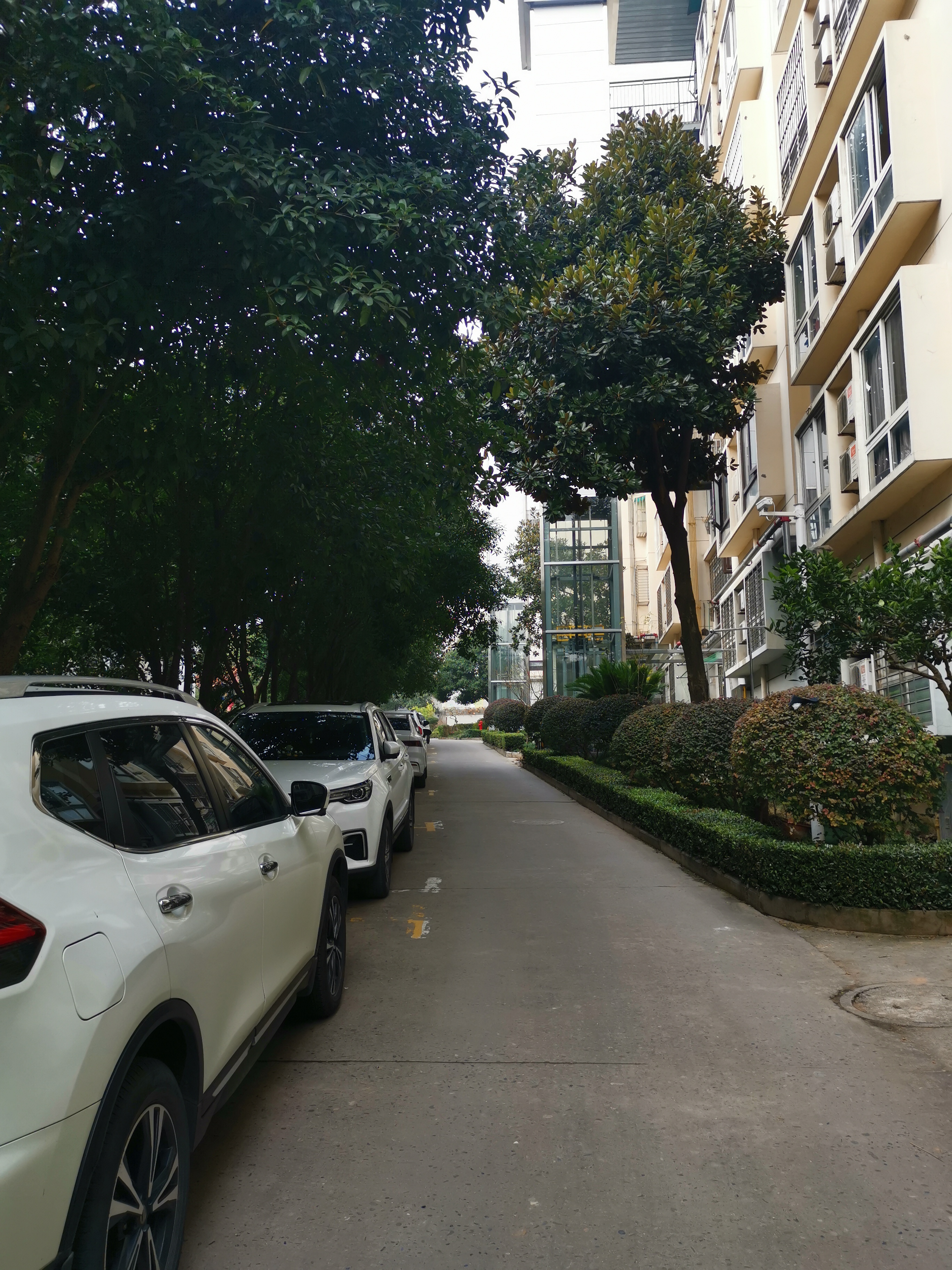 楠海花园 随时看房·