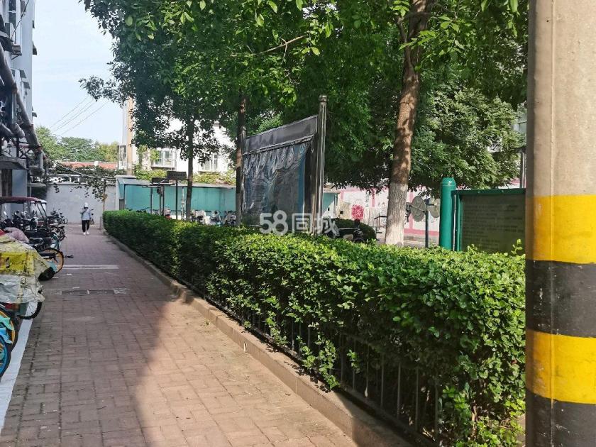 青后四区二号楼 随时看房·