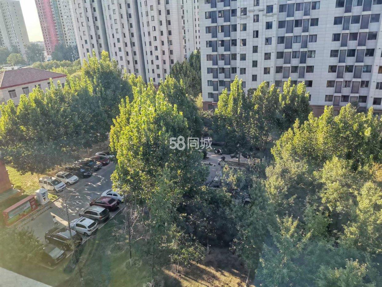 润枫领尚17号线北神树中高层近尖子班、枢密院 随时看房·