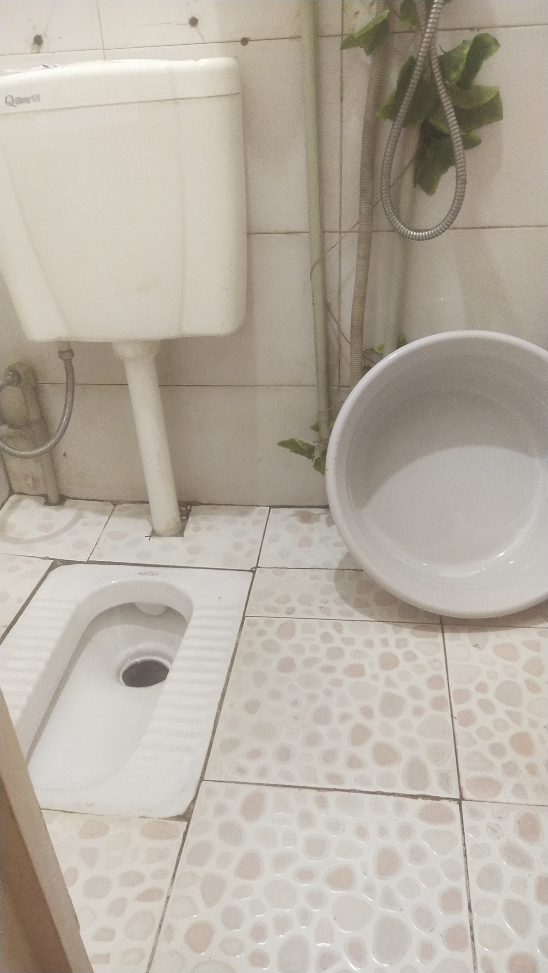 重庆市沙坪坝区渝碚路陈家湾向乐村显诚宾馆 随时看房·
