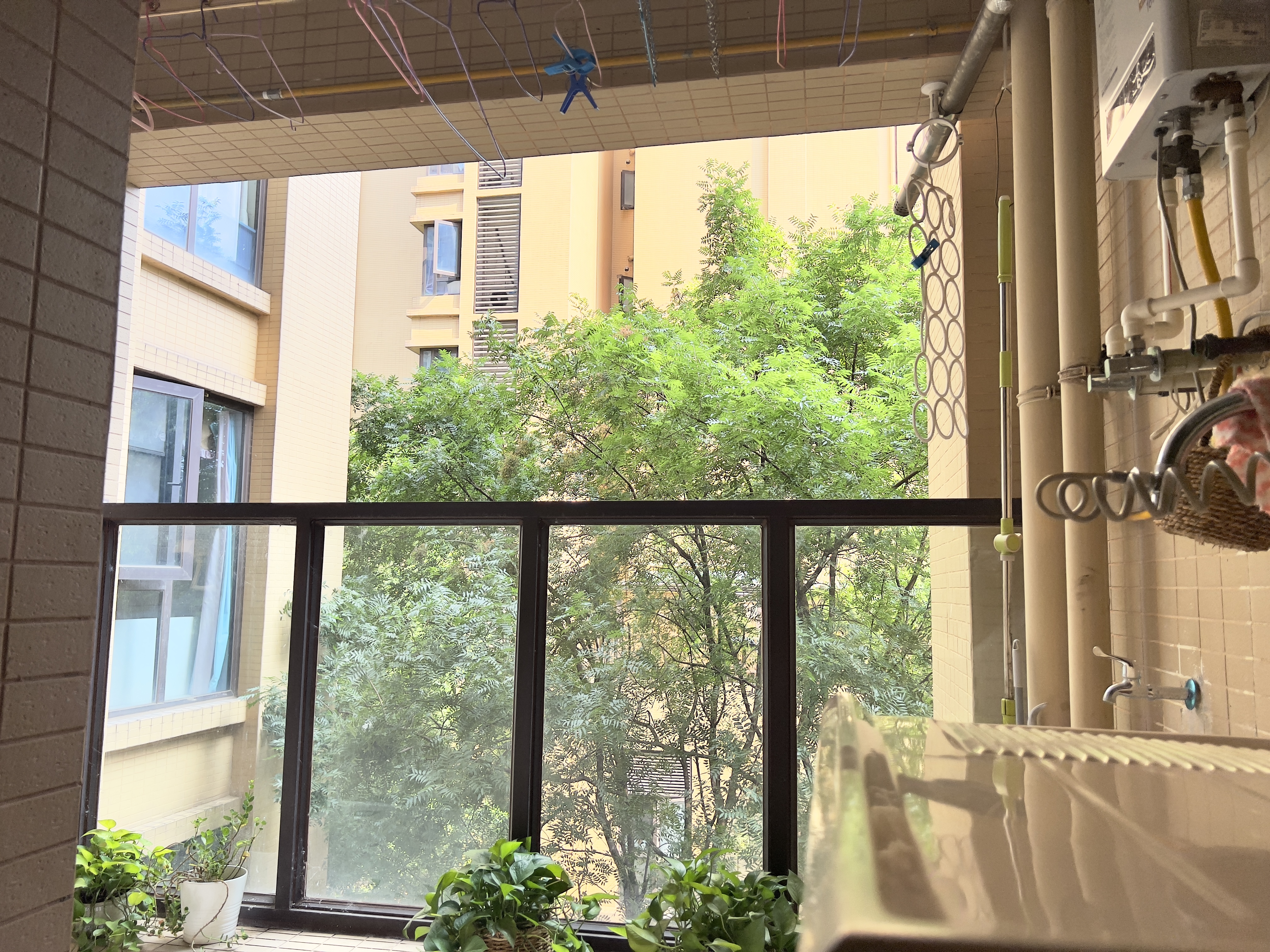 丽都世家A区 随时看房·