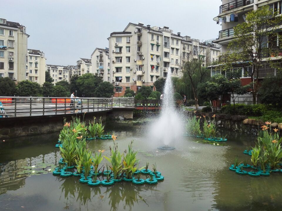 望月公寓 随时看房·