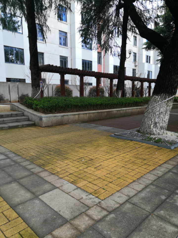 建工集团 随时看房·