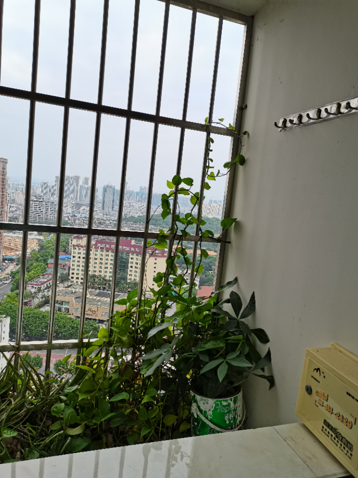 南宁双拥路金湖苑小区 随时看房·