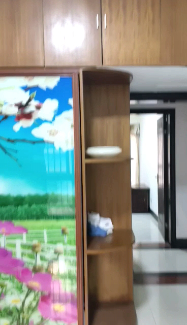 市政住宅小区 随时看房·