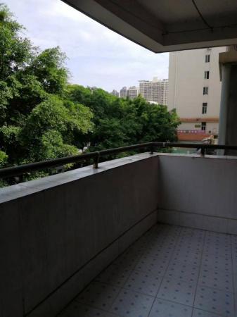 鑫金怡园小区 随时看房·