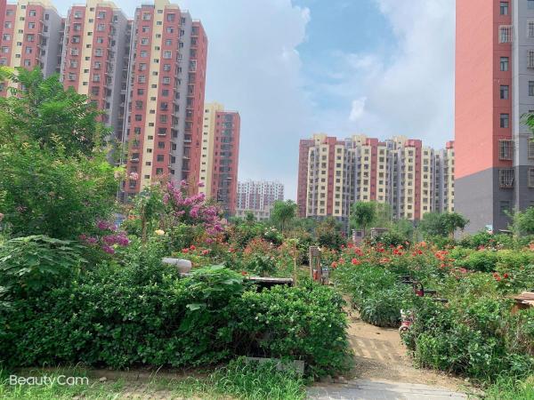 仁泰里 随时看房·